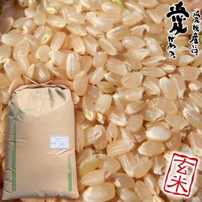 愛媛みかんの こだわり王国 - 三間米 みままい|Yahoo!ショッピング 愛媛みかんの こだわり王国 - 三間米 みままい|Yahoo!ショッピング
