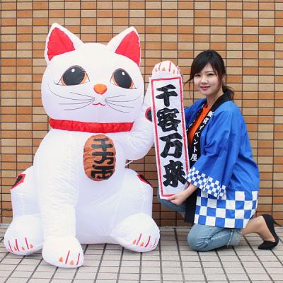 エアーディスプレイ 招き猫のおすすめ人気商品一覧 通販 - Yahoo