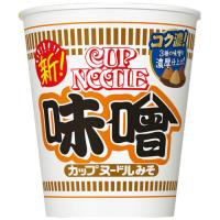 日清食品　カップヌードル 味噌×20個×2セット | 紀州和歌山てんこもり