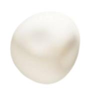 ODELIC オーデリック LEDブラケット OB255275WR | ライトウェルヤフー店