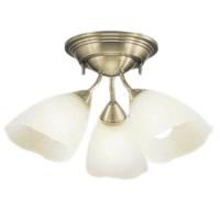 ODELIC オーデリック LEDシャンデリア  OC006506LR | ライトウェルヤフー店