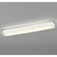 ODELIC オーデリック LEDキッチンライト OL291028R3F | ライトウェルヤフー店