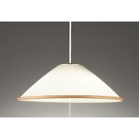 ODELIC オーデリック LEDペンダント OP087317LR | ライトウェルヤフー店