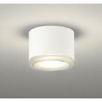 ODELIC オーデリック LED防雨型非常灯 OR037037 | ライトウェルヤフー店