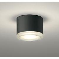 ODELIC オーデリック LED防雨型非常灯 OR037038 | ライトウェルヤフー店