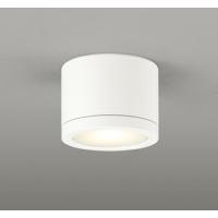 ODELIC オーデリック LED防雨型非常灯 OR037064 | ライトウェルヤフー店