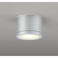 ODELIC オーデリック LED防雨型非常灯 OR037068 | ライトウェルヤフー店