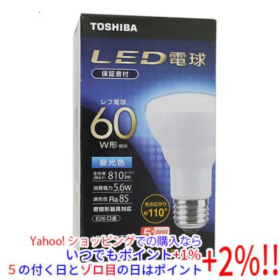 TOSHIBA 500W形屋外用散光型レフランプ 10個入り2ケース TOSHIBA 500W形屋外用散光型レフランプ 10個入り2ケース 岩崎電気 ケース