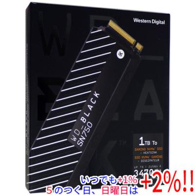 Western Digital SSD 1TB（WD Black）のおすすめ人気商品一覧 通販