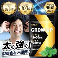 ノコギリヤシ ランキングtop27 人気売れ筋ランキング Yahoo ショッピング