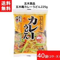 送料無料 五木食品 五木庵カレーうどん 225g 40袋 2ケース 袋麺 レトルト インスタント 食材 和食材 カレー うどん 即席めん 五木食品 九州 熊本 | アイシャイン