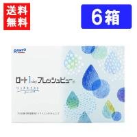 ロート ワンデーフレッシュビュー リッチモイスト 90枚入 ×6箱 送料無料 RHOTO 1DAY フレッシュビュー | アイシャイン