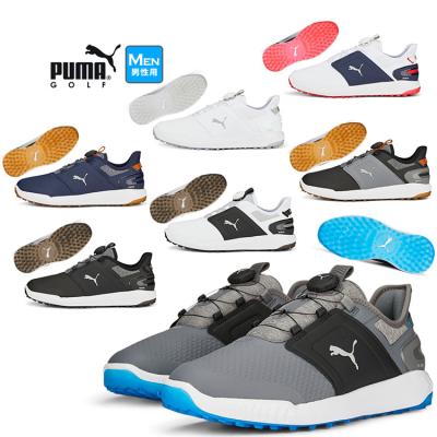 PUMA ゴルフシューズ 27cm 楽天市場】プーマ ゴルフシューズ（靴サイズ（cm）27.0