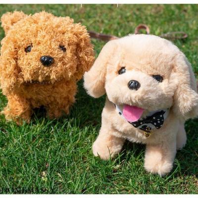 こえマネ わんちゃん 寺子屋のおすすめ人気商品一覧 通販 - Yahoo