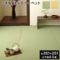 イケヒコ ラグ 洗える 日本製 国産 レジャー 和室 シンプル グリーン 江戸間4.5畳(約261×261) 2112204 | fast
