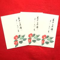 はがき 寒中 見舞い 葉書 ハガキ 和紙 和風 冬 喪中 年賀欠礼 年賀状 御礼 花うたげfps 501k 梅 うめ 定型文付き ３枚入り 福井朝日堂 Fps 501k F A Greetings 通販 Yahoo ショッピング