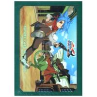 バディファイト スリーブ503枚セット 限定品多数 61Y5Wff4tbL._UF350,350_QL50_.jpg