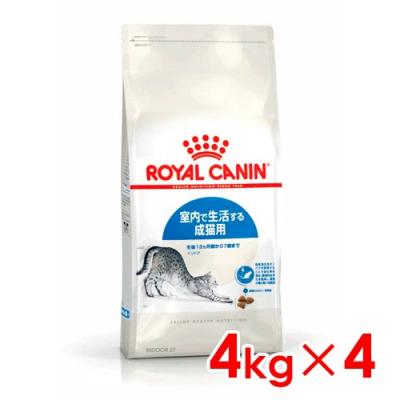 ロイヤルカナン インドア 4kg（国産/外国産：外国産）のおすすめ人気