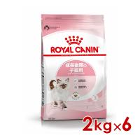 ロイヤルカナン FHN キトン 成長後期の子猫用 2kg ×6個(s5290152) ※お一人様1個まで [猫 キャット ドライフード] | ペットファミリー アニマルボンズ