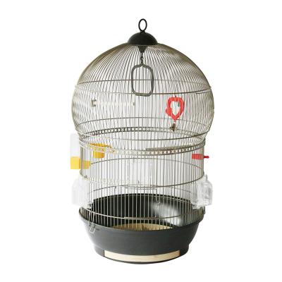 カナリア 鳥（鳥用品） | ペット用品、生き物 の商品一覧 通販 - Yahoo