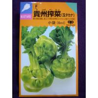 増田採種場 ちからこぶザーサイ 育成 ザーサイ 搾菜種子 コート 5000粒 Masuda 0126 種苗 園芸ショップ 種もり 通販 Yahoo ショッピング