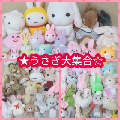 うさぎ ルシュクル ぬいぐるみのおすすめ人気商品一覧 通販 - Yahoo