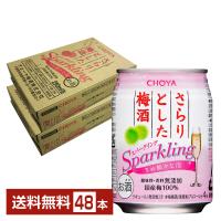 チューハイ CHOYA チョーヤ さらりとした梅酒 スパークリング 250ml 缶 24本×2ケース（48本） 送料無料 | FELICITY Beer&Water