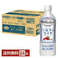 ポイント5倍 熱中症対策飲料 キリン 世界のKitchenから ソルティライチ 500ml ペットボトル 24本 1ケース 送料無料 | FELICITY Beer&Water