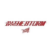 【取寄商品】CD/Royz/IN THE STORM (通常盤/Ctype) | Felista玉光堂