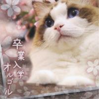 CD/オルゴール/卒業入学オルゴール (リバーシブルジャケット)【Pアップ】 | Felista玉光堂