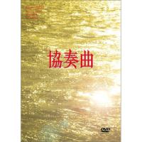 DVD/国内TVドラマ/協奏曲 DVD BOX (DVD化)【Pアップ | Felista玉光堂