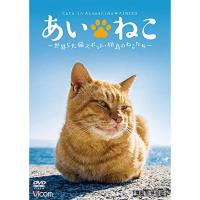 ★DVD/趣味教養/あいねこ 世界5大猫スポット・相島のねこたち | Felista玉光堂