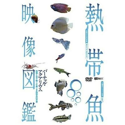 熱帯魚図鑑のおすすめ人気商品一覧 通販 - Yahoo!ショッピング