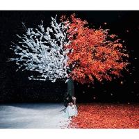 CD/Aimer/茜さす/everlasting snow (通常盤) | Felista玉光堂