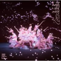 CD/櫻坂46/何歳の頃に戻りたいのか? (CD+Blu-ray) (TYPE-D) | Felista玉光堂