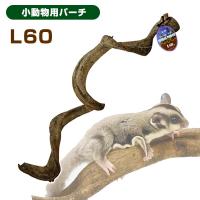 小動物 止まり木 お取り寄せ 三晃商会　スパイラルパーチ　L60リス フクロモモンガ 小鳥 小動物 止まり木 NK | フェレットワールドヤフーショップ