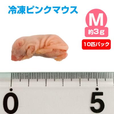 冷凍 ピンクマウス Mサイズ 100匹の商品一覧 通販 - Yahoo!ショッピング