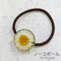 押し花ヘアゴム 押し花 フラワー 花 ヘアアクセサリー 夏 赤バラ