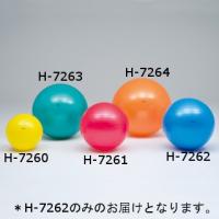 (法人限定) トーエイライト バランスボール ヨガボール ボディーボール65（ポンプ別売） H-7262 特殊送料(ランク：4)(TOL) (Q41CD) | フィールドボス