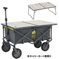 テーブル おしゃれ テーブル ミニ 折りたたみテーブル 73188040 ROSY カートローテーブル (HN) (Q41CD) | フィールドボス