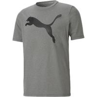 Tシャツ メンズ 半袖 メンズ トップス メンズ ACTIVE ビッグロゴ T シャツ GRAY VIOLET (JSP) (Q41CD) | フィールドボス