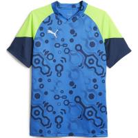 Tシャツ メンズ 半袖 メンズ トップス メンズ (メール便発送) INDIVIDUALCUP SSシャツ PERSIAN BLU  (JSP) | フィールドボス