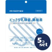 「セット販売」「井藤漢方製薬」どっさり乳酸菌と酪酸菌　2g×24袋　5個セット | くすりのエビス