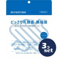 「セット販売」「井藤漢方製薬」どっさり乳酸菌と酪酸菌　2g×24袋　3個セット | 薬のファインズファルマ