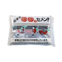 家庭化学工業  30分セメント 1kg グレー 209853 入数：1個 | ファーストWORKヤフー店