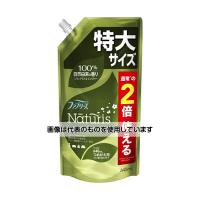 P＆G  ファブリーズナチュリスレモングラス＆ジンジャー詰め替え特大サイズ640ml 入数：1個(640ml入) | ファーストWORKヤフー店