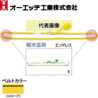 OH(オーエッチ工業) 荷締機 ラッシングベルト カムバックル(2本入) SB70E-Y カラー：イエロー(Y)黒ライン入 端末金具：エンドレス ベルト長さ：固定側5/巻取側-m | ファーストWORKヤフー店