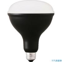 ■IRIS 574994 PROLEDS 投光器交換電球 2000lm LDR16DHE(3379589) | ファーストWORKヤフー店