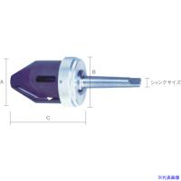 ■NOGA 2-42内径用カウンターシンク60°MT-2シャンク KP01116(4044525) | ファーストWORKヤフー店