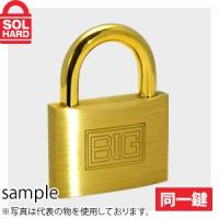 SOL HARD (ソールハード)　No.1200　BIGシリンダー南京錠　30mm　同一鍵 1箱(12個入) | ファーストヤフー店